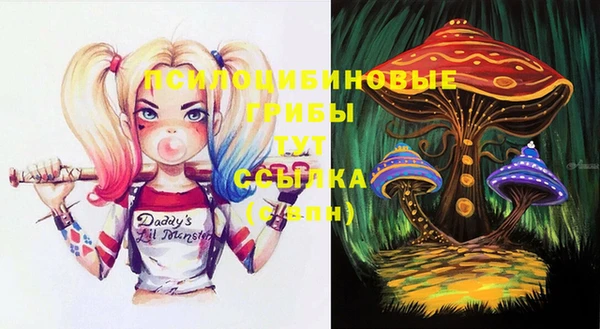 гидра Алексин