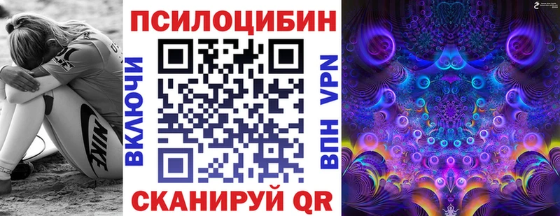 наркота  Гдов  Псилоцибиновые грибы прущие грибы 